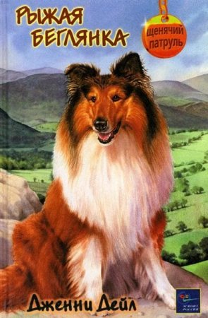 Яркие краски книг