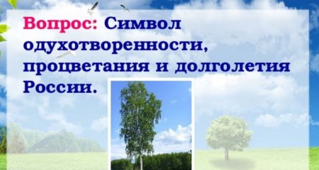 Викторина "Моя Россия"