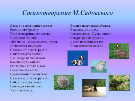 Онлайн-презентация по теме: "Что такое доброта"