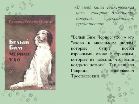 "У каждой собаки своя судьба"