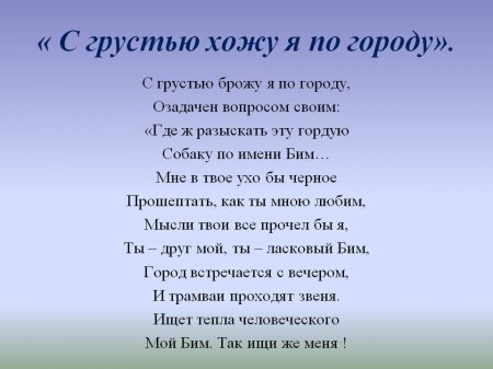 "У каждой собаки своя судьба"