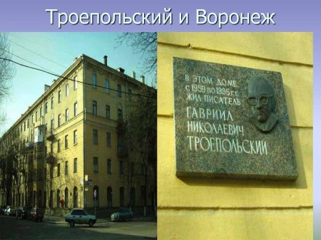 "У каждой собаки своя судьба"