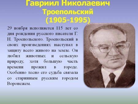 "У каждой собаки своя судьба"
