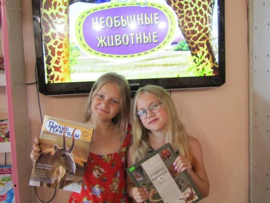 Лето наполненное  интересностями