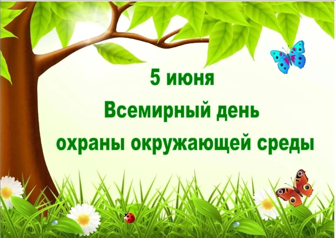 Экологический репортаж
