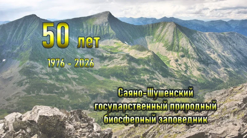 Онлайн-прогулка «Саяно-Шушенский»